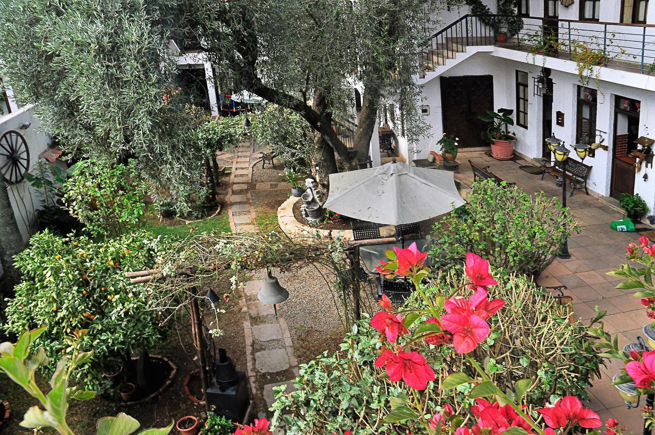 Viejo Olivo B&B Sucre Exterior foto